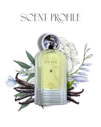 Made from Premium Oil of France -Oil Based Perfumes.