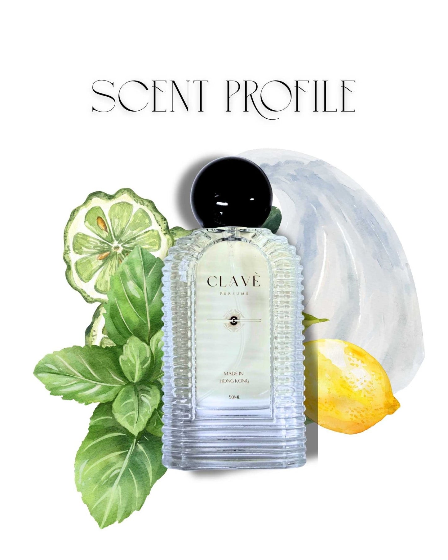 Robin - Based Perfume (Premium Blend) - Lavish Layers